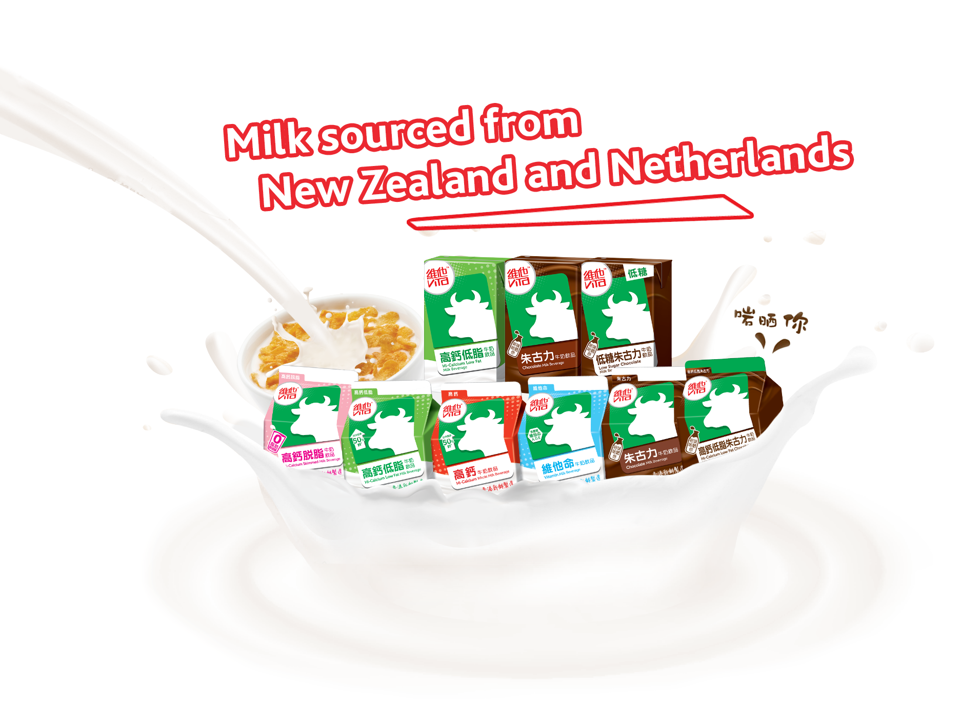 vita-milk-vitavitasoy